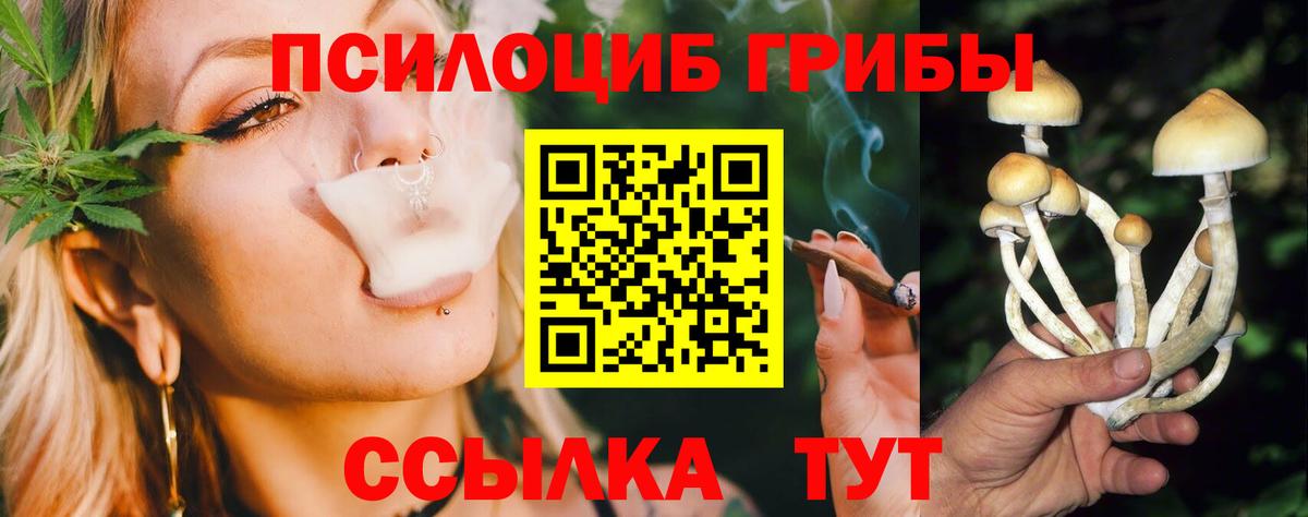 Электрогорск  Галлюциногенные грибы GOLDEN TEACHER  Псилоцибиновые грибы MAGIC MUSHROOMS  Вход с VPN 